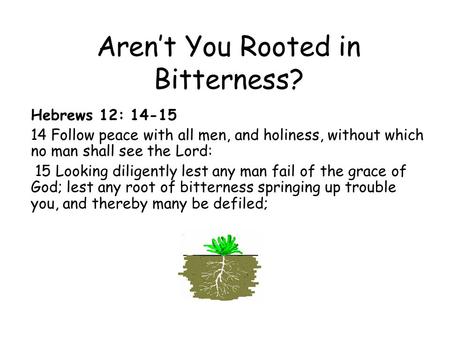 Aren’t You Rooted in Bitterness? Hebrews 12: 14-15 14 Follow peace with all men, and holiness, without which no man shall see the Lord: 15 Looking diligently.