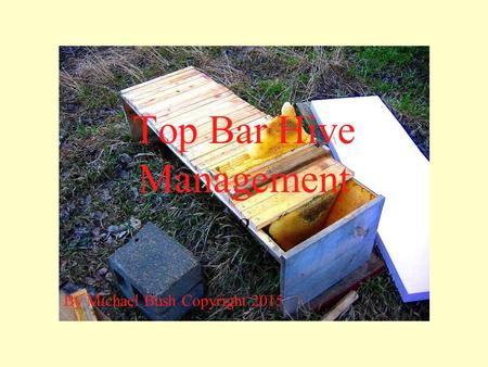 Top Bar Hive Management