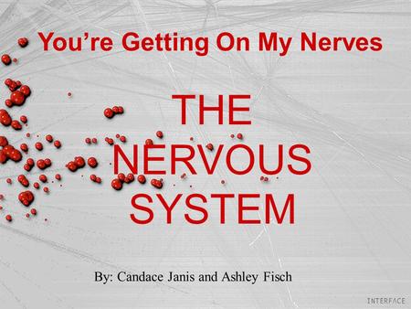 You’re Getting On My Nerves THE NERVOUS SYSTEM By: Candace Janis and Ashley Fisch.