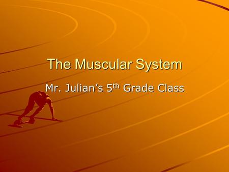 The Muscular System Mr. Julian’s 5 th Grade Class.