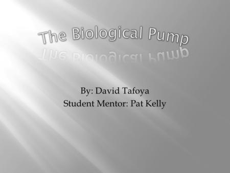 By: David Tafoya Student Mentor: Pat Kelly. The Biological Pump is the process in which CO2 fixed in photosynthesis is transferred to the interior of.