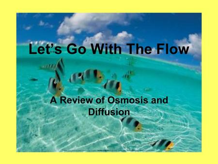 Let’s Go With The Flow A Review of Osmosis and Diffusion.
