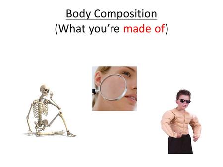 Body Composition (What you’re made of)