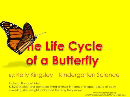 content/uploads/2009/01/butterfly-nolegs-2.jpg By: Kelly Kingsley Kindergarten Science Indiana Standard Met: K.3.2 Describe.