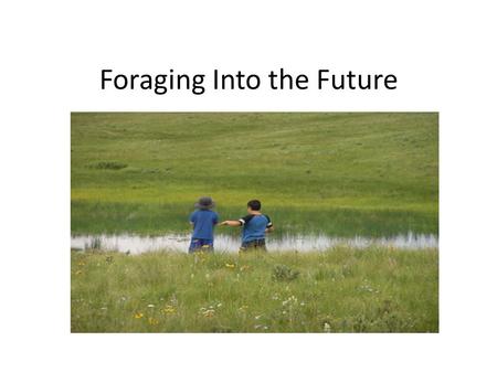 Foraging Into the Future. What this talk is about…. Introduction – who/what are we? What do we do? – our mission Range/pasture EKG Monitoring methods.