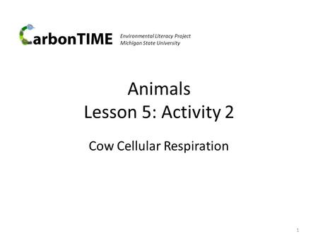 Animals Lesson 5: Activity 2 Cow Cellular Respiration 1 Environmental Literacy Project Michigan State University.