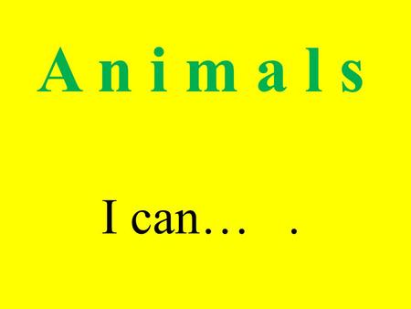 A n i m a l s I can… ..