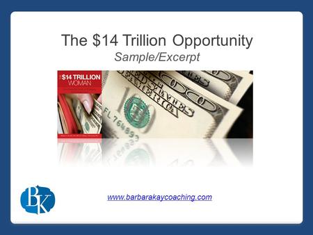 The $14 Trillion Opportunity Sample/Excerpt www.barbarakaycoaching.com.