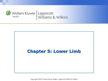 Copyright © 2012 Wolters Kluwer Health | Lippincott Williams & Wilkins Chapter 5: Lower Limb.