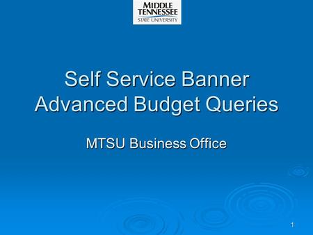 1 Self Service Banner Advanced Budget Queries MTSU Business Office.