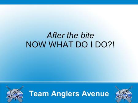 Team Anglers Avenue After the bite NOW WHAT DO I DO?!