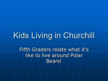 Kids Living in Churchill Fifth Graders relate what it’s like to live around Polar Bears!