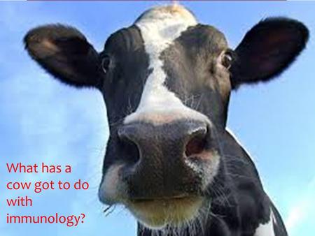 What has a cow got to do with immunology?. WALT: Just how important was Edward Jenner to the History of Medicine? WILFs: (C) Can describe the story of.
