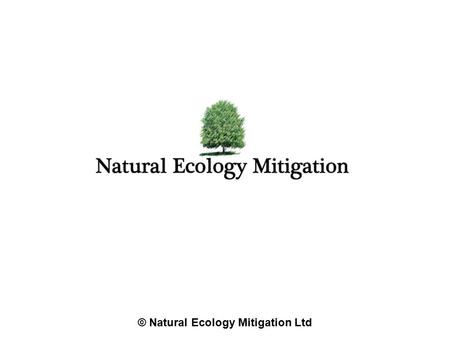 © Natural Ecology Mitigation Ltd