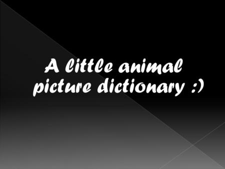 A little animal picture dictionary :).