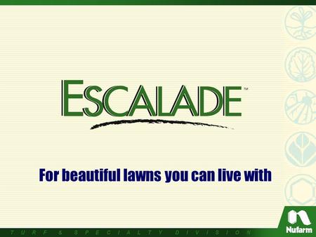 T U R F & S P E C I A L T Y D I V I S I O N For beautiful lawns you can live with.