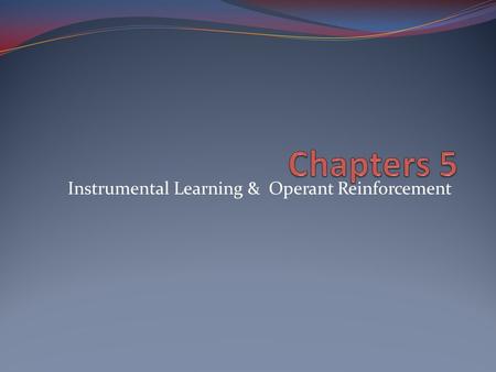 Instrumental Learning & Operant Reinforcement
