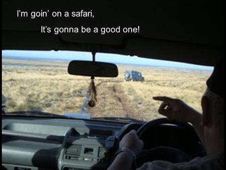 I’m goin’ on a safari, It’s gonna be a good one!
