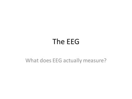 What does EEG actually measure?