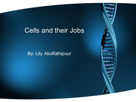 Cells and their Jobs By: Lily Abolfathipour. Nucleus Nucleus controls the activity of the cell, and also contains chromosomes which are made of DNA. DNA.