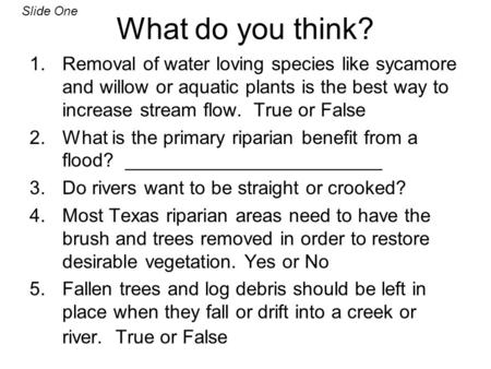 What do you think? 1.Removal of water loving species like sycamore and willow or aquatic plants is the best way to increase stream flow. True or False.