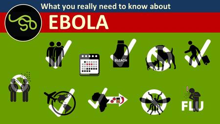 What you really need to know about EBOLA. What you really need to know about EBOLA Your dog or cat is not spreading Ebola. There have been no reports.