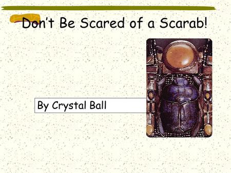 Don’t Be Scared of a Scarab! By Crystal Ball The Scarab Beetle is also known as the Dung Beetle. The scarab beetle and his mate lay their larva eggs.