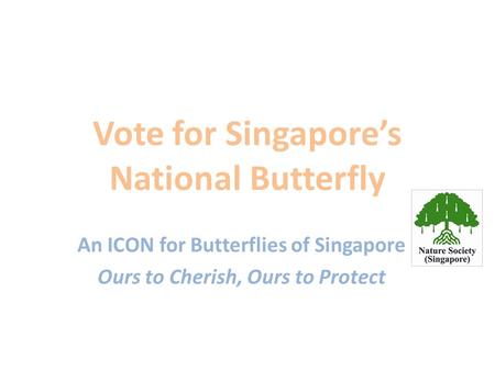 Vote for Singapore’s National Butterfly