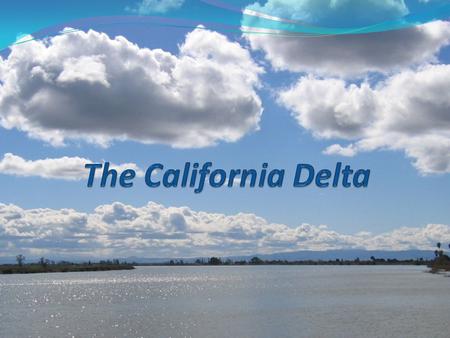 Delta Facts Major Cities Partly Within the Delta: Sacramento, Stockton, West Sacramento, Oakley, and Rio Vista.