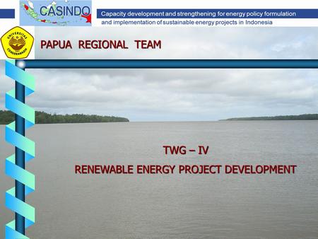 TWG – IV RENEWABLE ENERGY PROJECT DEVELOPMENT PAPUA REGIONAL TEAM.