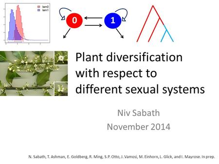 Plant diversification with respect to different sexual systems