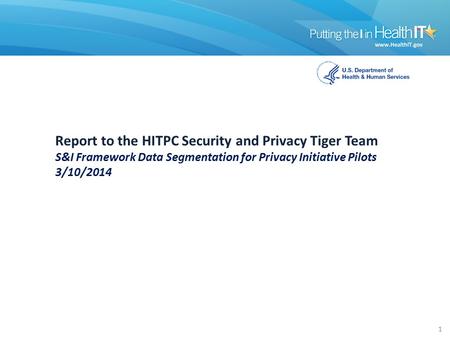 Report to the HITPC Security and Privacy Tiger Team S&I Framework Data Segmentation for Privacy Initiative Pilots 3/10/2014 1.