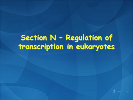 Section N – Regulation of transcription in eukaryotes