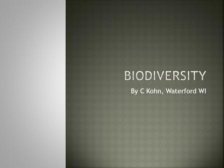 Biodiversity By C Kohn, Waterford WI.