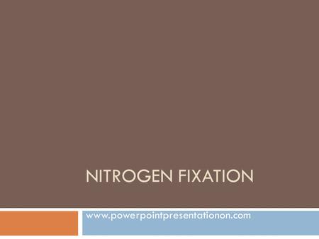 NITROGEN FIXATION www.powerpointpresentationon.com.