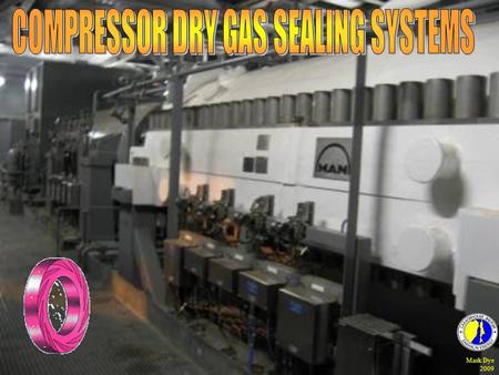 COMPRESSOR DRY GAS SEALING SYSTEMS