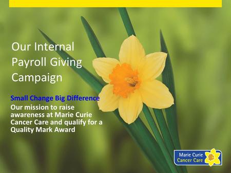 Our Internal Payroll Giving Campaign