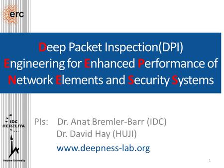 Deep Packet Inspection(DPI) Engineering for Enhanced Performance of Network Elements and Security Systems PIs: Dr. Anat Bremler-Barr (IDC) 	Dr. David.