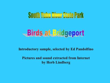 Introductory sample, selected by Ed Pandolfino Pictures and sound extracted from Internet by Herb Lindberg Birds at Bridgep ort.