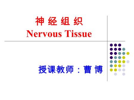 神 经 组 织 Nervous Tissue 授课教师：曹 博.