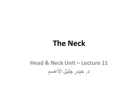 Head & Neck Unit – Lecture 11 د. حيدر جليل الأعسم