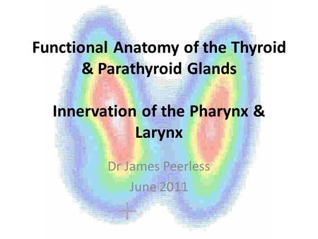 Functional Anatomy of the Thyroid & Parathyroid Glands Innervation of the Pharynx & Larynx Dr James Peerless June 2011.