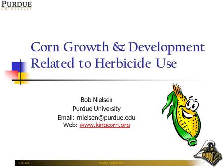 V121903© 2003, Purdue Univ.1 Corn Growth & Development Related to Herbicide Use Bob Nielsen Purdue University   Web: