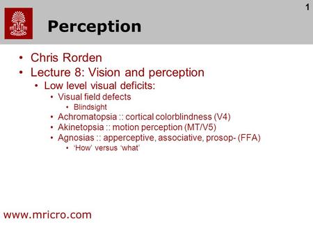 Perception Chris Rorden Lecture 8: Vision and perception
