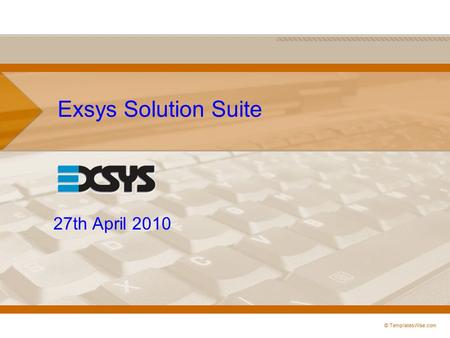 Exsys Solution Suite 27th April 2010 © TemplatesWise.com.