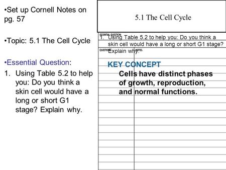 4.2 Overview of Photosynthesis Set up Cornell Notes on pg. 57 Topic: 5.1 The Cell Cycle Essential Question: 1.Using Table 5.2 to help you: Do you think.