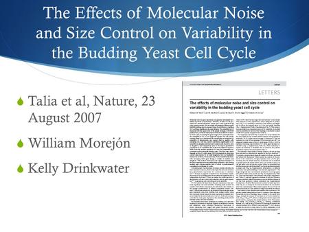The Effects of Molecular Noise and Size Control on Variability in the Budding Yeast Cell Cycle  Talia et al, Nature, 23 August 2007  William Morejón.