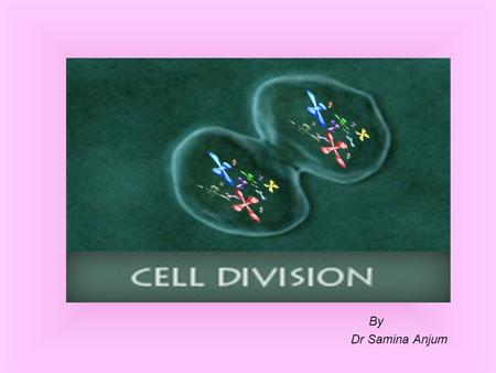 By Dr Samina Anjum. CELL DIVISION Is the process by which a parent cell divides into two or more daughter cells. Cell division is usually a small segment.