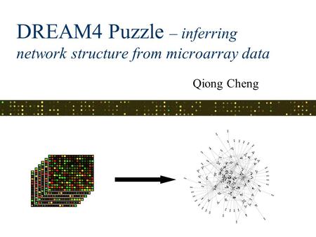 DREAM4 Puzzle – inferring network structure from microarray data Qiong Cheng.