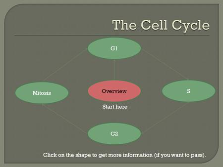 Overview G2 S G1 Mitosis Click on the shape to get more information (if you want to pass). Start here.